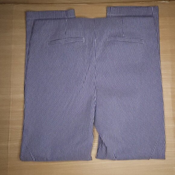 Ecru Womens Blue White Pinstripe Seersucker Ankle Pants 6 - Picture 2 of 7